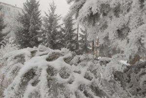 Sibirya soğukları Ardahan'ı dondurdu