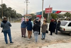 Alacaklılar Kapıya Dayandı!