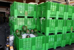 Halden 700 kilo karpuz alnd