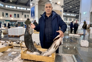 Egeli balklar iin sezon bereketli geiyor