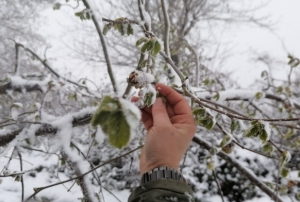 Nisan kar fndk reticisini endielendirdi