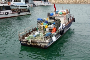nci kefali av yasa balad