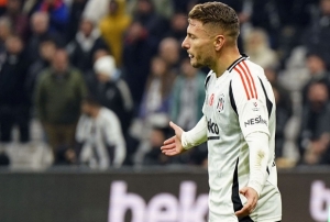 2025 ylnn en suskunu Immobile