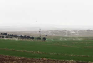 Tarmsal sulamada elektrik tketimi 3 kat artt