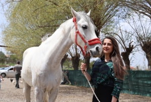  Kadnlarn binicilie olan merak a