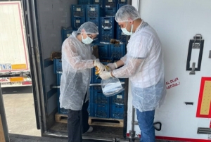 Hurma ithalatna sk denetim!