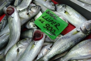 'Lfer' 900 liradan tezgahta