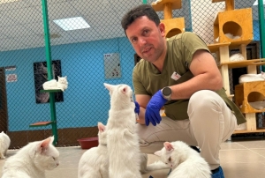 Van kedilerine bir ömür adadı