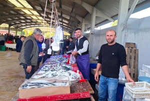 Balk bollat, fiyatlar dt