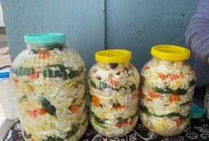 Turşu kurma mesaisi başladı