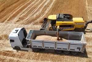 İthalat açıklaması bile arpanın ateşini düşürmedi