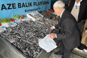 Denizlerde balk bolluu