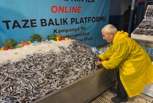 Hamsi fiyatı yüzleri güldürdü