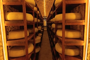 Kars Peynir Mzesi youn ilgi gryo