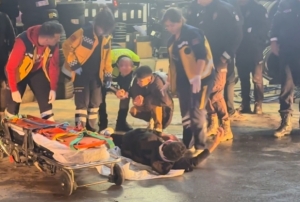 Kaan src polis aracna arpt!