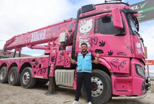 naat sektrne renk katt