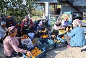 Hurmal ky, ak fabrikaya dnt