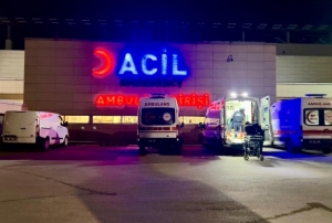 Pitbull deheti: ocuun yz parampara oldu