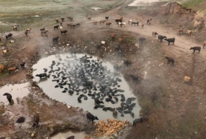 Mandalarn kaplca keyfi havadan grntlendi