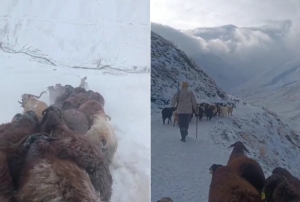 Ağrı'da kar ve tipi hayatı durdurdu