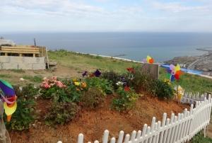 Talep oranı yüzde 95'e ulaştı