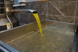 Zeytinya�� fiyatlar� belli oldu, fiy