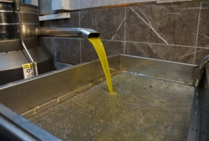 Zeytinyağı fiyatları belli oldu!