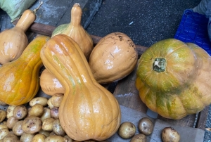 Kendisi ayr�, �ekirde�i ayr� �ifa ka