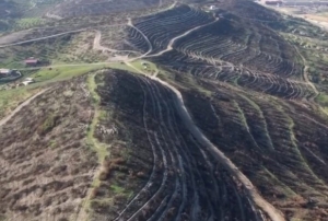 Orman alanlar� yeniden ye�ile kavu�u