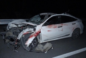 Milyonluk taylar karayolunda telef o