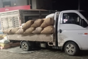 Yılbaşına günler kala fındık fiyatları yükselişe geçti