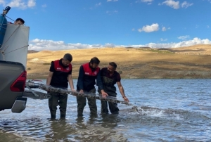 N�fus kadar bal�k deniz ve g�llere b�rak�ld�