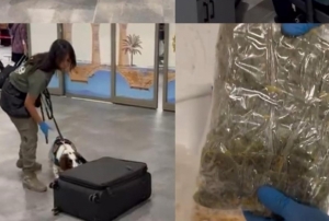 M�s�r gevre�i kutular�ndan uyu�turuc