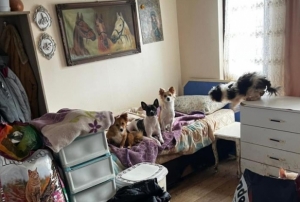 Kap� a��l�nca kar��la��lan manzara �oke etti