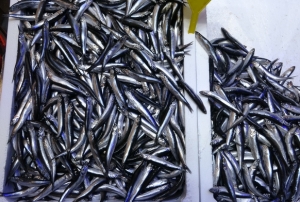 Tezgahlar buzhane hamsisine kald�