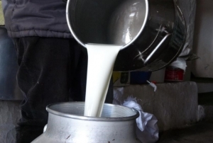 �i� s�t fiyatlar� belli oldu