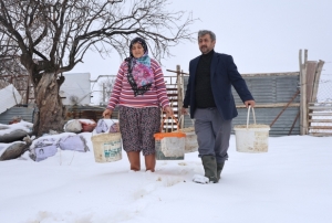 Besicilerin k�� mesaisi...