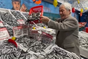 Hamsi fiyatları dibe indi