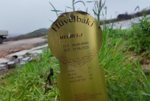 Kimsesiz cenazelerin ardından kalan sarsıcı hikayeler