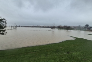 Meri� Nehri ya�am alanlar�na kadar u