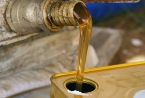 T�rk �am bal�n�n d�nya pazar�ndaki e