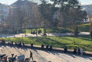 Domuz gribi vakalar�nda art��