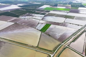 �ukurova'y� ya�mur vurdu