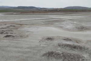 All� turnalar�n yuvas� yok oluyor