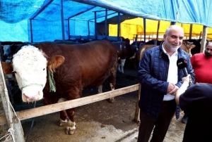 Kurban pazarının 'Paşa'sı 1,3 tonluk