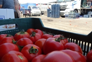 Domatesin fiyatı 15 TL'ye düştü