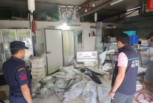 603 kilogram balığa el konuldu