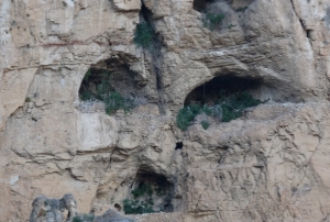 Malatya'da faili me�hul dosyalar ara