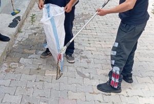 Eve giren y�lan pani�e neden oldu