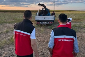 Çekirge üreme alanları ilaçlandı